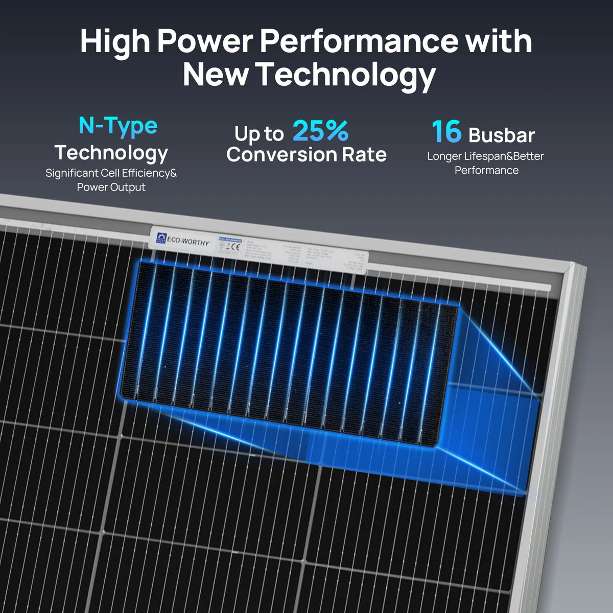 ECO-WORTHY Efficient N Type Solar Panels for Off Grid Applications
